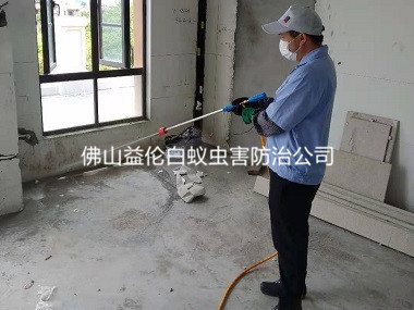 大良房屋装修预防白蚁