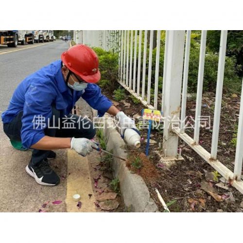 顺德红火蚁防治工程
