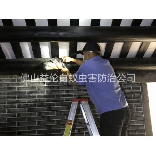 禅城祠堂杀灭白蚁工程