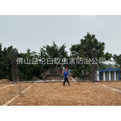 顺德地基新建预防白蚁工程