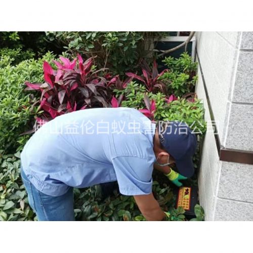 佛山住宅环境灭鼠工程